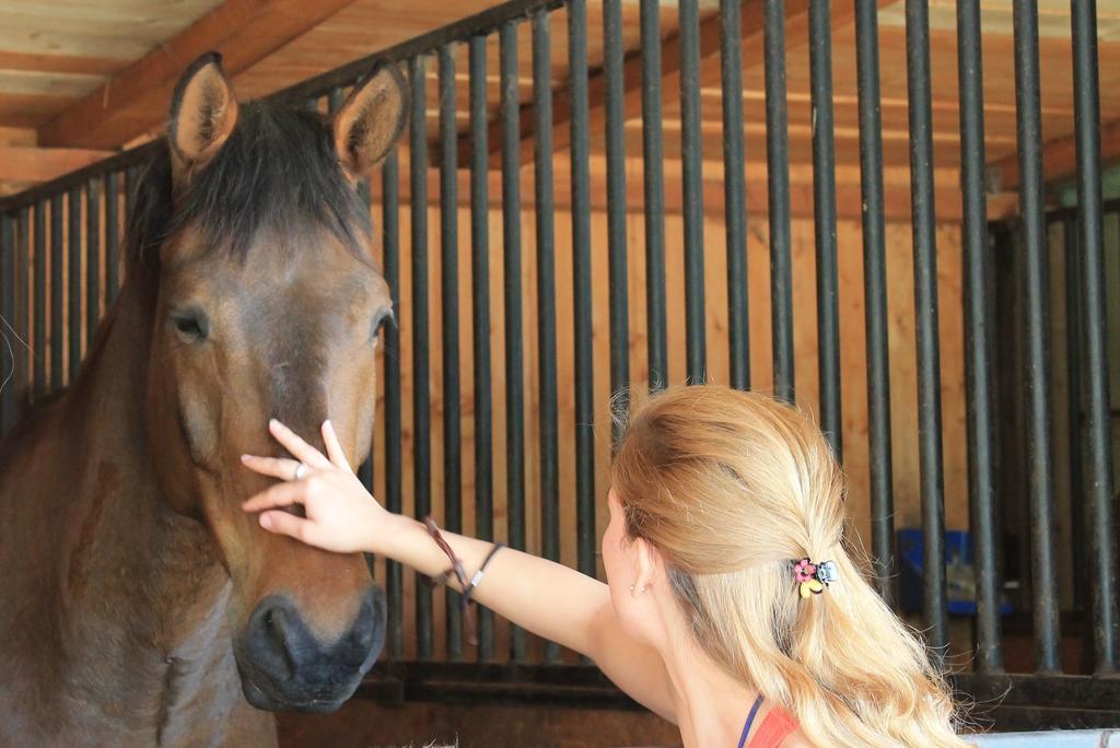 Stajnia Sarnowek Nad Jeziorem Rozany Rozajny Wielkie Exteriér fotografie