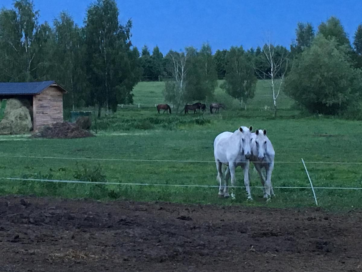 Stajnia Sarnowek Nad Jeziorem Rozany Rozajny Wielkie Exteriér fotografie
