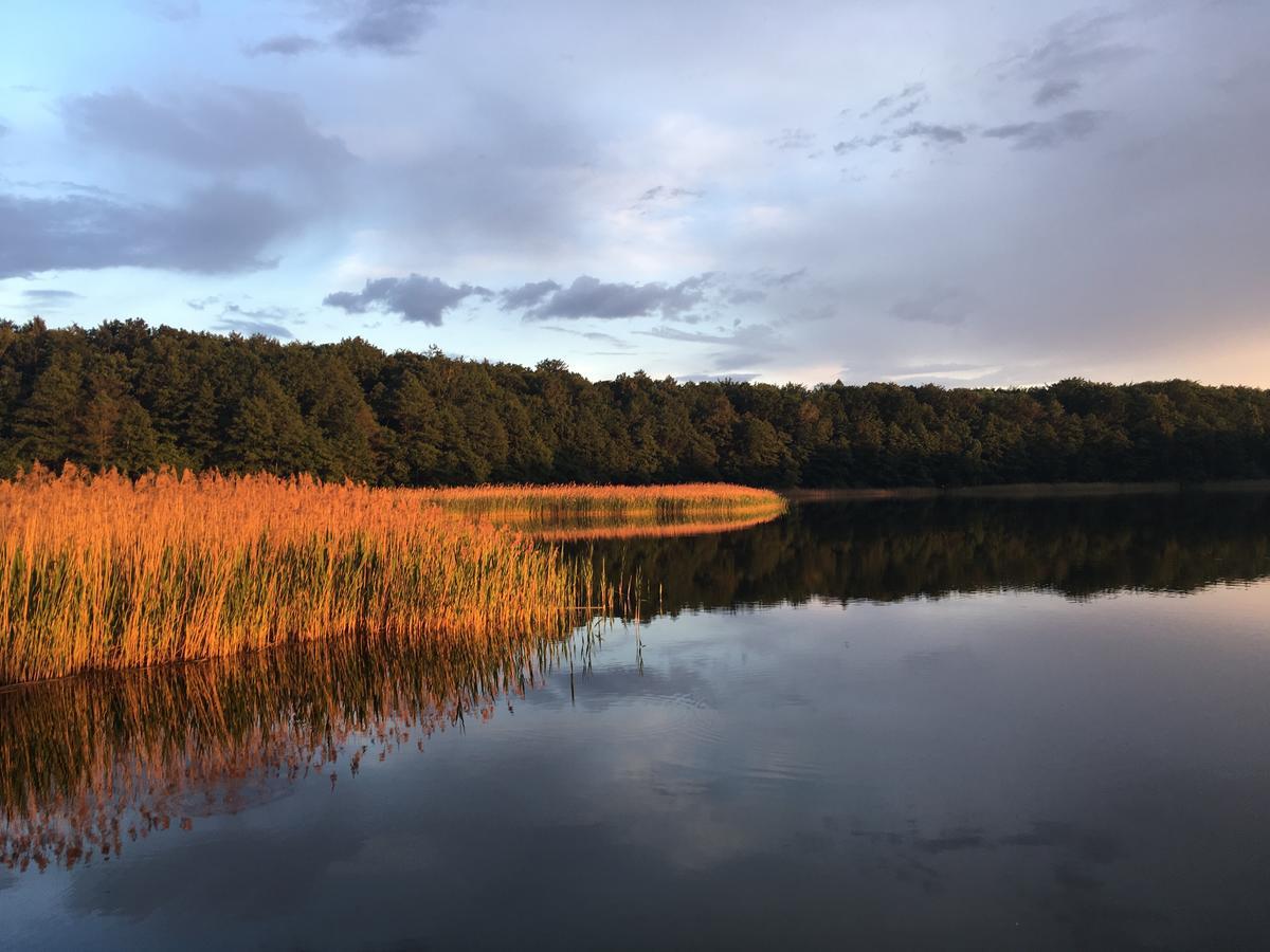 Stajnia Sarnowek Nad Jeziorem Rozany Rozajny Wielkie Exteriér fotografie